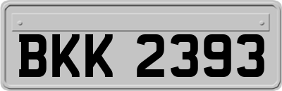 BKK2393