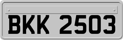 BKK2503