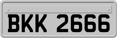 BKK2666