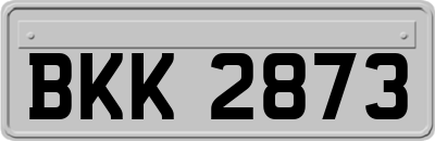 BKK2873