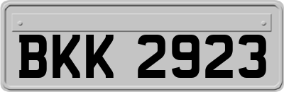 BKK2923
