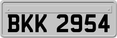 BKK2954