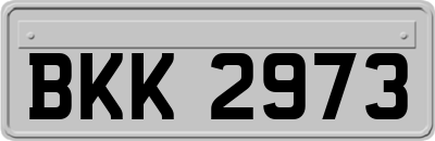 BKK2973