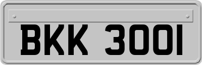 BKK3001