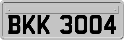 BKK3004