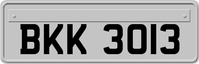 BKK3013