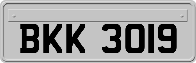 BKK3019