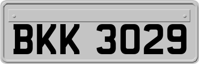 BKK3029