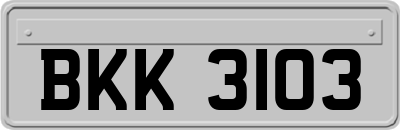 BKK3103