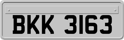 BKK3163