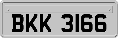 BKK3166