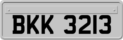 BKK3213