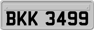 BKK3499