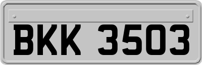 BKK3503