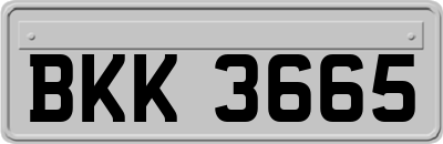 BKK3665