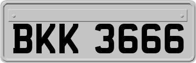 BKK3666