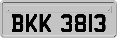 BKK3813
