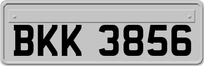 BKK3856