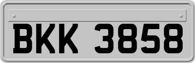 BKK3858