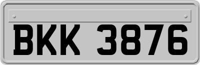 BKK3876