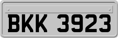 BKK3923
