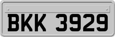 BKK3929