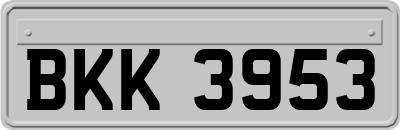 BKK3953