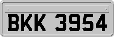 BKK3954