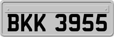 BKK3955