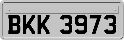BKK3973
