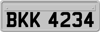 BKK4234