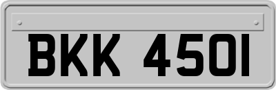 BKK4501