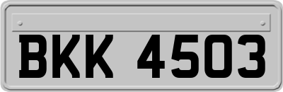 BKK4503