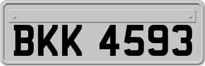 BKK4593