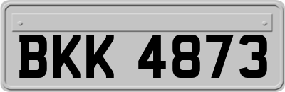 BKK4873
