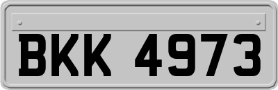 BKK4973
