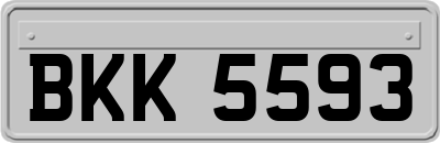 BKK5593