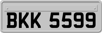BKK5599