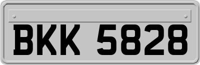 BKK5828