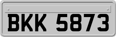 BKK5873