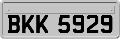 BKK5929