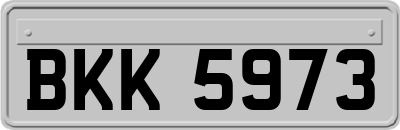 BKK5973