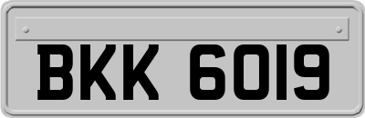 BKK6019