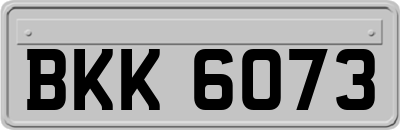BKK6073