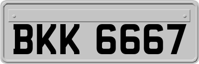 BKK6667