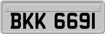 BKK6691