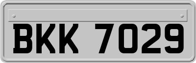 BKK7029