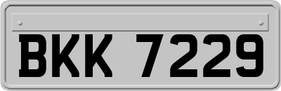 BKK7229
