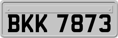 BKK7873