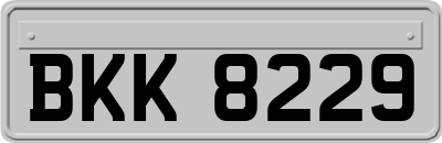 BKK8229